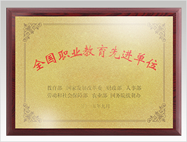2015年，中国职工教育和职业培训协会授予中鹏教育“全国职业培训与技工教育系统先进单位”